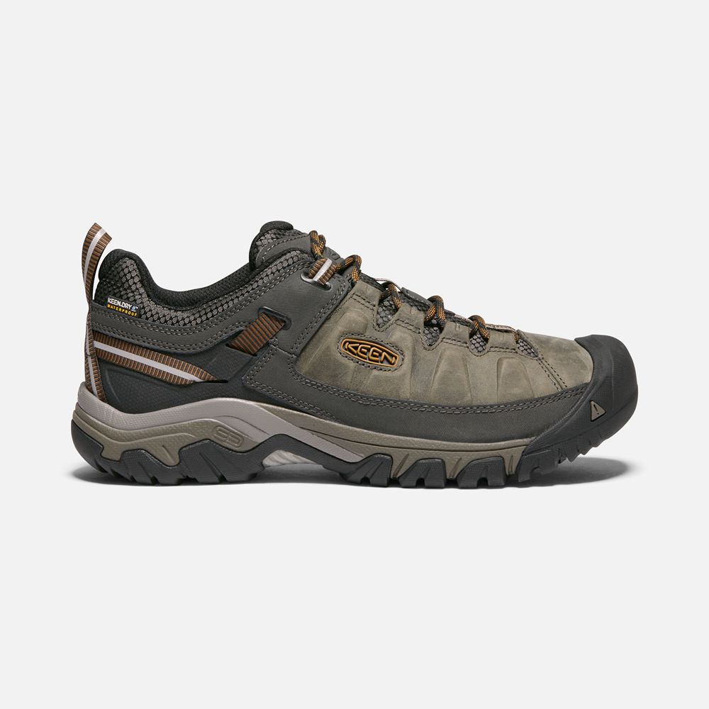 Keen Outdoor Ayakkabı Erkek Zeytin Yeşili/Siyah - Targhee Iii Waterproof - Türkiye AMLQ50473